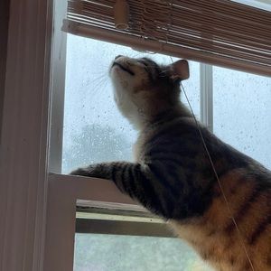 Meet your Posher, Samantha